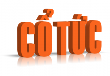 Cổ tức là gì? Hiểu đúng TẤT TẦN TẬT về chi trả cổ tức