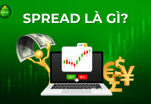 Phí Spread là gì? Hướng dẫn cách tính Spread đơn giản, chi tiết nhất