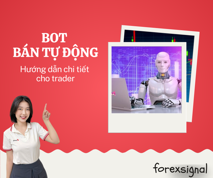 Web kiến thức (3)