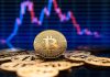Bitcoin Tăng Mạnh Lên Đỉnh Gần 2 Tuần